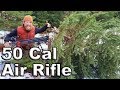 Christmas Tree Hunt With The 50 Cal Dragon Claw Air Rifle