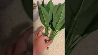 DIY artificial plant from dollar store