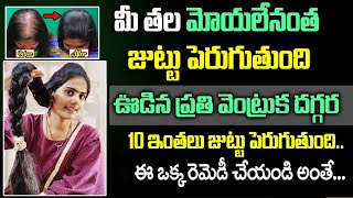 🔥డాక్టర్లు కూడా ఈ చిట్కానే వాడమంటున్నారు || పైసా ఖర్చు లేదు మీరు వద్దన్నా జుట్టు🥰 పెరుగుతూనే ఉంటుంది