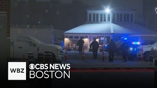 Police investigating death at Boston houseboat, woman arrested on scene