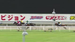 2022年7月8日川崎競馬能力調教試験