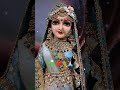 तन भी तेरा मन भी तेरा🙏🏻🍁 jai radha rani jai shree krishna