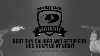 Best Gun Caliber and Setup for Hog Hunting at Night