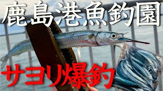 2022.03.21 鹿島港魚釣園で春のサヨリ爆釣!!【トリックサビキ初心者】