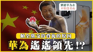 華為遙遙領先？中共傾全黨之力也要扶持的企業！超英趕美不是夢！|#我的學習筆記 #450 @mynotebooks