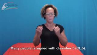 Classifiers 1 & 5