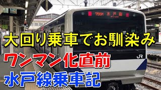 【乗り鉄】水戸線がワンマン化される前に全線乗車してきた。