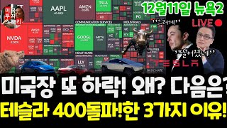 미국주식시황/오늘 왜 떨어졌나? 테슬라 400돌파!한 3가지 이유/엔비디아 구글 애플 아마존 메타 마이크로소프트 팔란티어 아이온큐 리게티 브로드컴 LLY등 $tsla #tesla