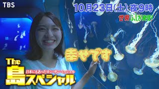 The 島スペシャル!! 日本にもあったモン･サン･ミッシェル『世界ふしぎ発見!』10/23(土)【TBS】