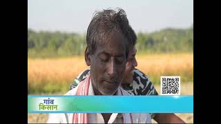 कामयाब किसान में जानिए पंकज जी के बनाये बीज भंडार की कहानी  | Gaon Kisan