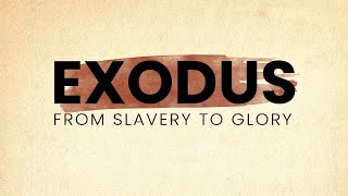 Exodus 14 Walk On