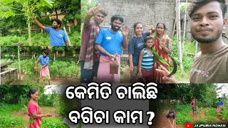 କେମିତି ଚାଲିଛି ବଗିଚା କାମ ? // VLOG NO - 10 // JAJPURIA MOHAN 🛑