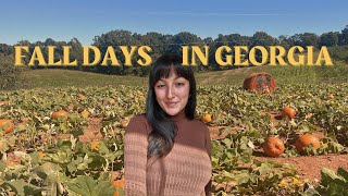 fall days in georgia | fall festival, pumpkin patch, books & more