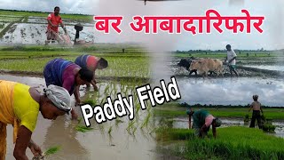 Paddy Field||Abadaripwra Dubliyao Mai Gaidwg|| Farmers life||Jangkra