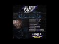 09,Levels Chillspot x Sheara di man - Kunge Zuva (Produced By Levels Production)