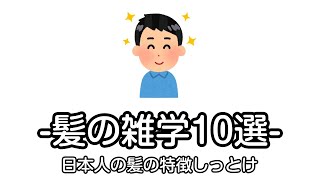 明日から使える日本人の髪の雑学10選【雑学集】【ゆっくり解説】