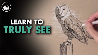 Importance of Observation for Drawing & Painting