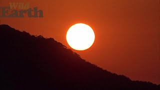 WildEarth - Sunrise - 05 August 2021