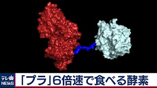 日本発の「プラスチックを食べる酵素」６倍“早食い”に　リサイクルへの応用に期待（2020年9月30日）