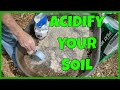 How to Make Blueberry Soil