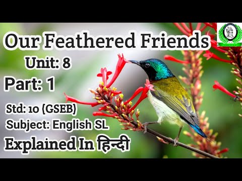 STD 10 (GSEB) English SL | Unit 8 Our Feathered Friends Part 1 ...