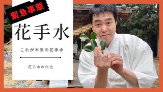 【緊急事態】これが本来の花手水　お清めの作法を紹介