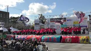 鴉 黒潮よさこい祭り2024 市役所会場