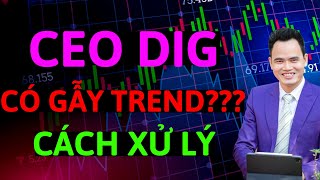 Cổ phiếu CEO DIG: có bị gẫy trend không? Hướng xử lý