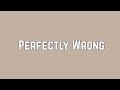 Shawn Mendes - Perfectly Wrong (Lyrics)