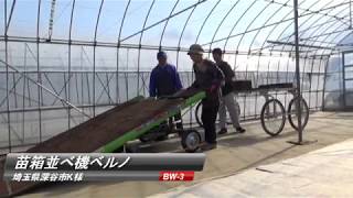 タイショー　苗箱並べ機ベルノ　作業風景