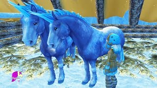 Trapped Horses In Cage Star Stable Online Horse Video Game Play