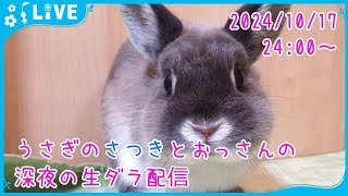 【雑談・うさぎ】うさぎのさつきとおっさんの深夜の生ダラ配信　2024/10/17