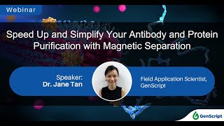 Speed Up and Simplify Your Antibody and Protein Purification with Magnetic Separation