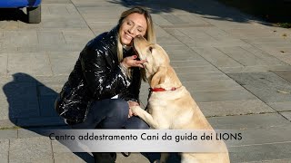 Cani da Guida per NON VEDENTI. Centro Addestramento Lions. 2 occhi per chi non vede. Milano\u0026Dintorni