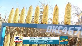 DEKALB Smart Center la Carei, județul Satu Mare