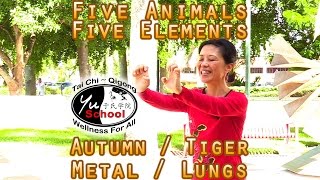 Tiger Qigong for Lungs in Autumn