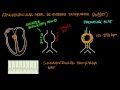 atrioventricular reentrant tachycardia avrt u0026 av nodal reentrant tachycardia avnrt