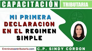 💥 MI PIMERA DECLARACION EN EL REGIMEN SIMPLE 💥 - Capacitación Tributaria - Sindy Cordon