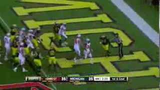 2013 Ohio State at Michigan Football Highlights