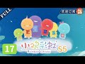 美丽的小花在绽放~五颜六色多么漂亮 | 《小鸡彩虹》第五季 EP17 Rainbow Chicks