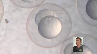 Biomedical Science Overview