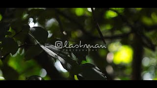 Nature in Focus | പ്രകൃതി | Lastman Photography | 1500D CANON