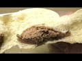 フジパン 大福みたいなホイップあんぱん チョコ