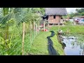 Sa paligidligid ng bahay kubo. Pede na magtanim ng mga gulay. #rurallife #philippines #farming