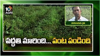 పద్ధతి మారింది.. పంట పండింది |Success Story of Ideal Farmer Kandi Cultivation | Matti Manishi | 10TV