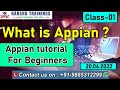 What is Appian | Appian BPM | Appian tutorial For Beginners | Appian Class 01 | Online Training