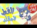 marah tv - قناة مرح|القط المقلد بدون إيقاع