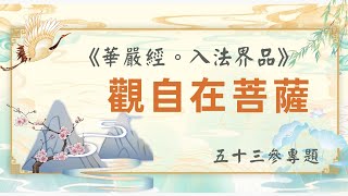 《華嚴經 。入法界品》五十三參專題 27觀自在菩薩-字幕版