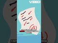 GARP SCR® Exam 2025 | Full Study Guide + Tips to Pass on Your First Try | Genecapsule