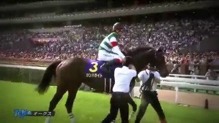 【競馬】 優駿牝馬 オークス 2016年 シンハライト チェッキーノ - マヤノタバラのJRA頭脳